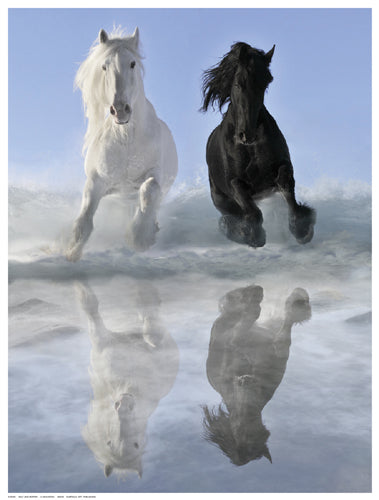 Framed Salt And Pepper by V. Makarova | 16 ½ x 12 ½