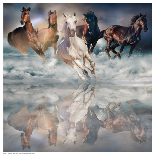 Framed Herd Run by Svetlana | 12 ½ x 12 ½