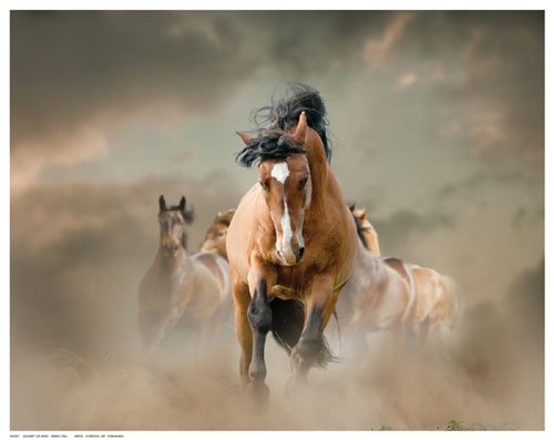 Against the Wind by Maria Itina Wall Art Décor 11 ½ x 14 ½ Art Print