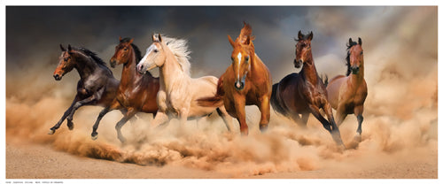 Framed Desert Run by Svetlana | 8 ½ x 20 ½