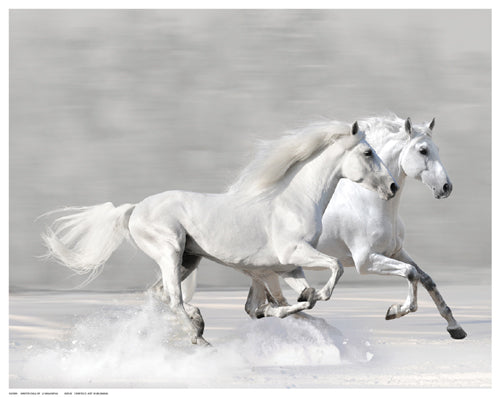 Framed Winter Gallop by V. Makarova | 11 ½ x 14 ½