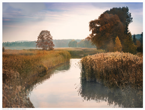 Framed Elk River 12 ½ x 16 ½