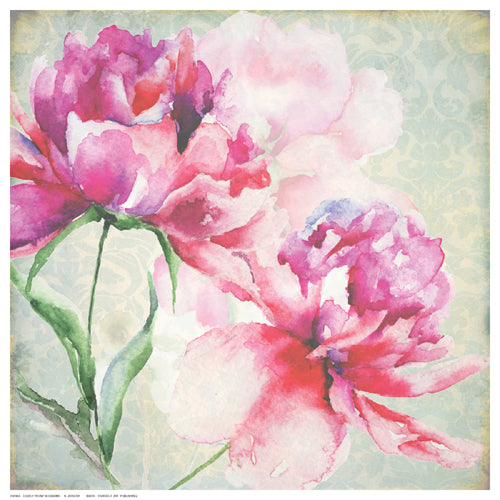 Framed Lovely Peony Blossoms by R. Jersova | 12 ½ x 12 ½