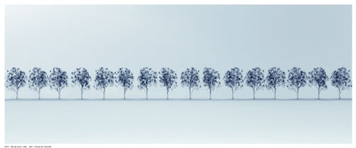 Framed Tree Line in Blue 8 ½ x 20 ½