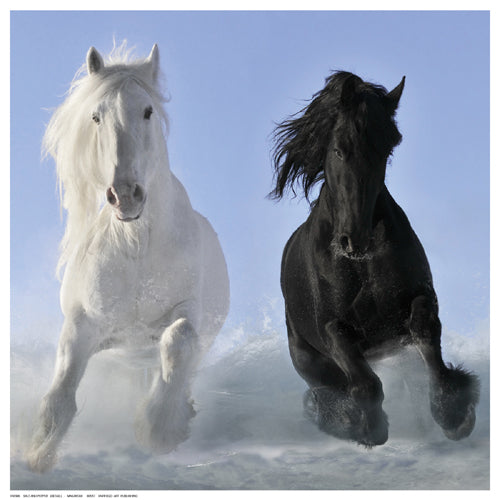 Salt and Pepper Detail by V. Makarova Wall Art Décor 12 ½ x 12 ½ Art Print