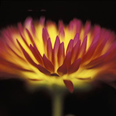 Sunshine by Anon Wall Art Décor 6 x 6 Art Print