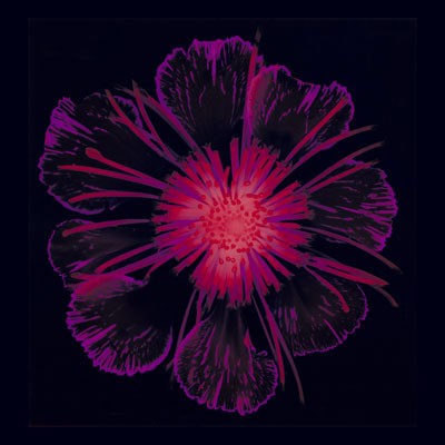 Burst of Crimson by Anon Wall Art Décor 6 x 6 Art Print