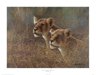 Framed Sisters of the Serengeti by Ruane Manning | 22 x 28