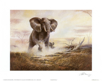 Raging Bull by Ruane Manning Wall Art Décor 22 x 28 Art Print