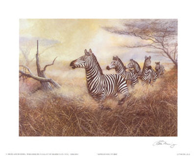 Approaching Storm by Ruane Manning Wall Art Décor 22 x 28 Art Print