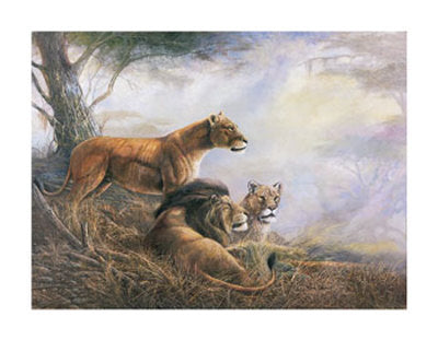 Forbidden Territory by Ruane Manning Wall Art Décor 22 x 28 Art Print