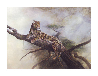 Spotted Beauty by Ruane Manning Wall Art Décor 22 x 28 Art Print
