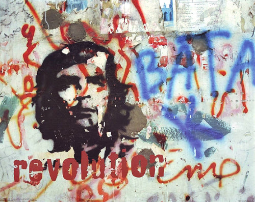 Framed Revolution: Che Graffiti 16 x 20