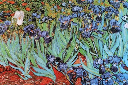 Irises by Vincent van Gogh Wall Art Décor 24 x 36 Art Print