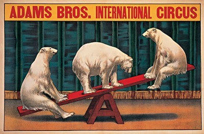Adams Bros Int'l Circus by Anon Wall Art Décor 16 x 22 1/4 Art Print