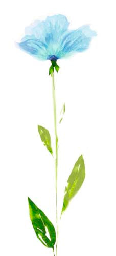 Shades of Blue by Robin Wall Art Décor 19 3/4 x 9 Art Print