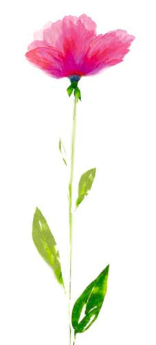 Shades of Red by Robin Wall Art Décor 19 3/4 x 9 Art Print