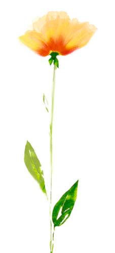 Shades of Yellow by Robin Wall Art Décor 19 3/4 x 9 Art Print