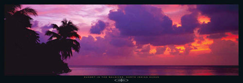 Sunset in the Maldives, North Indian Ocean by Fridmar Damm Wall Art Décor 13 x 37 Art Print