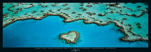 Heart Reef, Great Barrier Reef by Grant Faint Wall Art Décor 13 x 37 Art Print