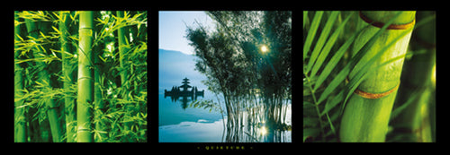 Quietude by Photography Collection Wall Art Décor 13 x 37 Art Print