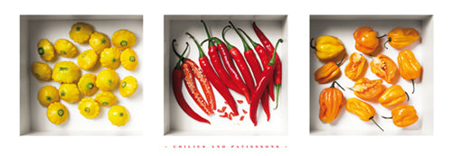 Framed Chilies and Patissons by Dave Brullmann | 13 x 37