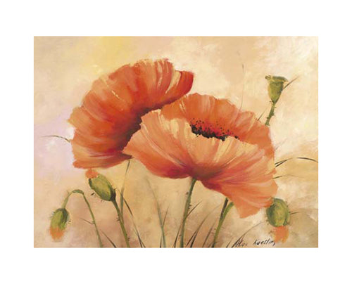 Mohnblumen by Olga Kaesling Wall Art Décor 9 1/2 x 11 3/4 Art Print