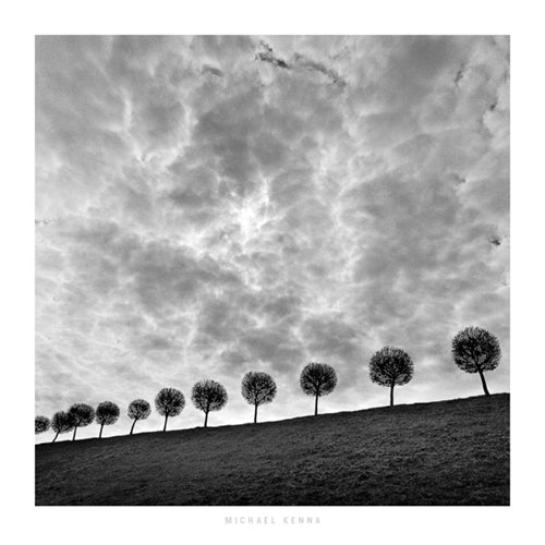 Ten and a Half Trees, Peterhof, Russia, 2000 by Michael Kenna Wall Art Décor 11 3/4 x 11 3/4 Art Print
