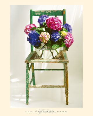 Country Elegance by Harvey Edwards Wall Art Décor 19 3/4 x 15 3/4 Art Print