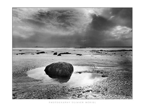 Roche Couverte de Varechs, Pointe de Saire by Olivier Meriel Wall Art Décor 15 3/4 x 19 3/4 Art Print