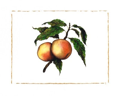 Moorpark Apricot Art Print by Morgan Kari - 15.75 " Wall Decor