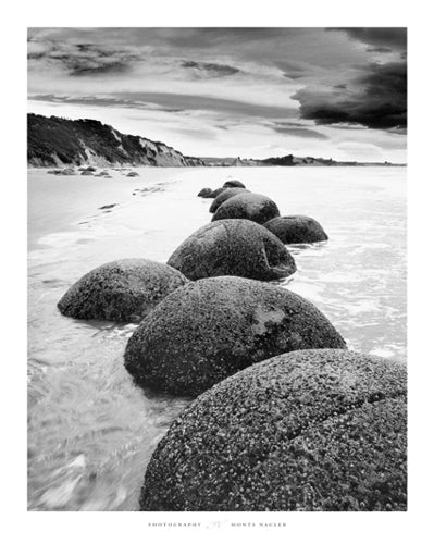 Otago Coast, New Zealand Art Print by Monte Nagler - Coastal Landscape Wall Decor