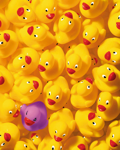 Quack Quack I by Dave Brullmann - Whimsical Duck Art Print | 19x19 " Wall Decor