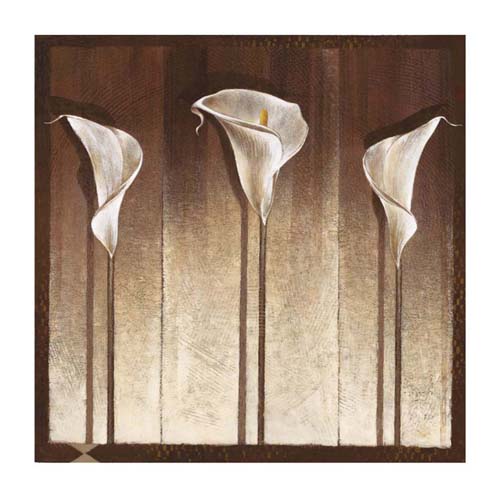 Three Calla Lilies by Mira Latour Wall Art Décor 19 3/4 x 19 3/4 Art Print