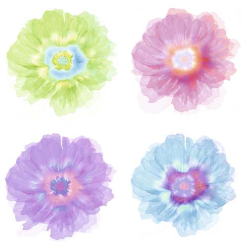 Quatre Fleurs by Robin Wall Art Décor 19 3/4 x 19 3/4 Art Print