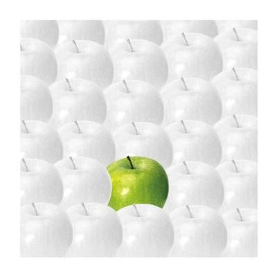 Apples by Johannes Weber Wall Art Décor 11 3/4 x 11 3/4 Art Print