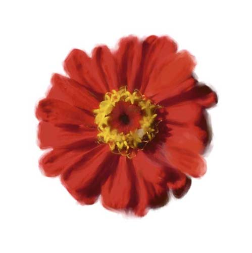 Petales Rouges II by Tasmin Phoenix Wall Art Décor 11 3/4 x 11 3/4 Art Print