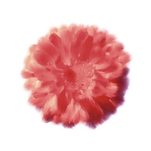 Petales Rouges III by Tasmin Phoenix Wall Art Décor 11 3/4 x 11 3/4 Art Print