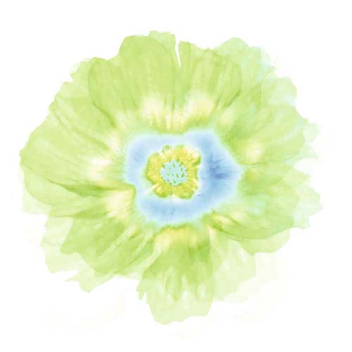 Fleur Verte by Robin - Green Flower Abstract Art Print | Modern Wall Decor 11.75 x 11.75