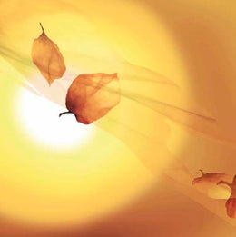 Art Print Transparence III by Robin - Abstract Wall Art Décor 11.75 x 11.75