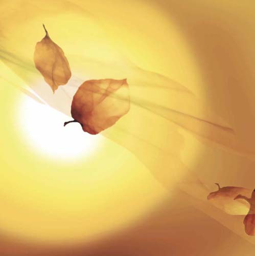 Art Print Transparence III by Robin - Abstract Wall Art Décor 11.75 x 11.75