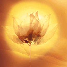 Transparence V by Robin - Modern Abstract Wall Art Print | 11.75 x 11.75 Décor