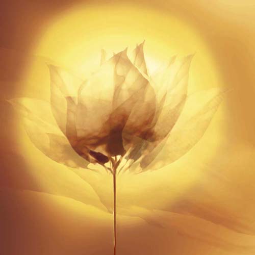 Transparence V by Robin - Modern Abstract Wall Art Print | 11.75 x 11.75 Décor