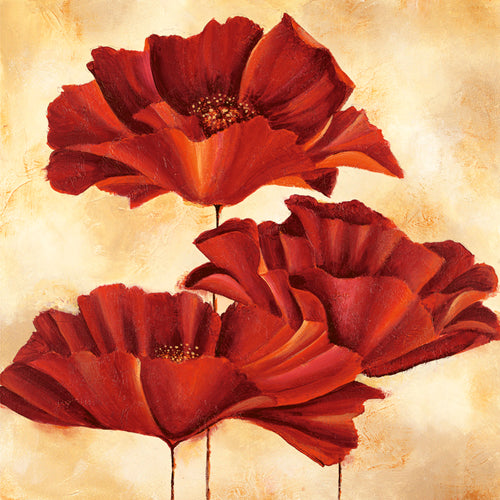 Three Poppies I by Nicola Rabbett - Floral Wall Art Décor