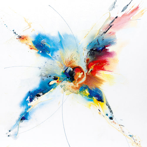 Flying Colours I by Hansjorg Furrer Wall Art Décor 11 3/4 x 11 3/4 Art Print
