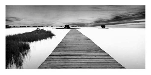 The Jetty by Gary Faye Wall Art Décor 19 3/4 x 39 1/2 Art Print