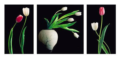 Love by Harvey Edwards Wall Art Décor 19 3/4 x 39 1/2 Art Print