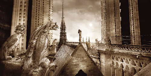Framed Paris, Gargouiles de Notre Dame by Stéphane Rey-Gorrez