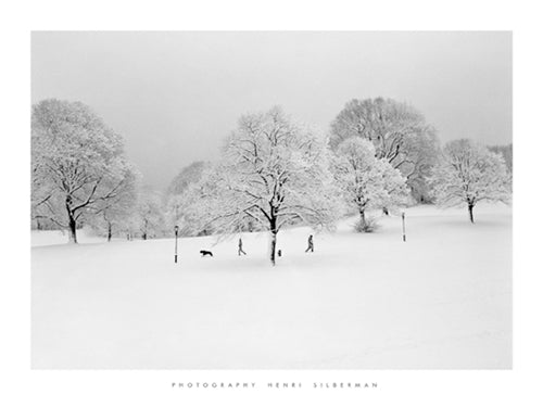 Prospect Park Trees Art Print by Henri Silberman - Nature Landscape Wall Decor