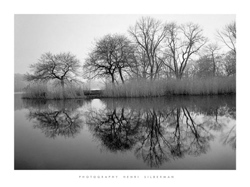 Prospect Park Morning by Henri Silberman - Tranquil Wall Art Print for Home Décor